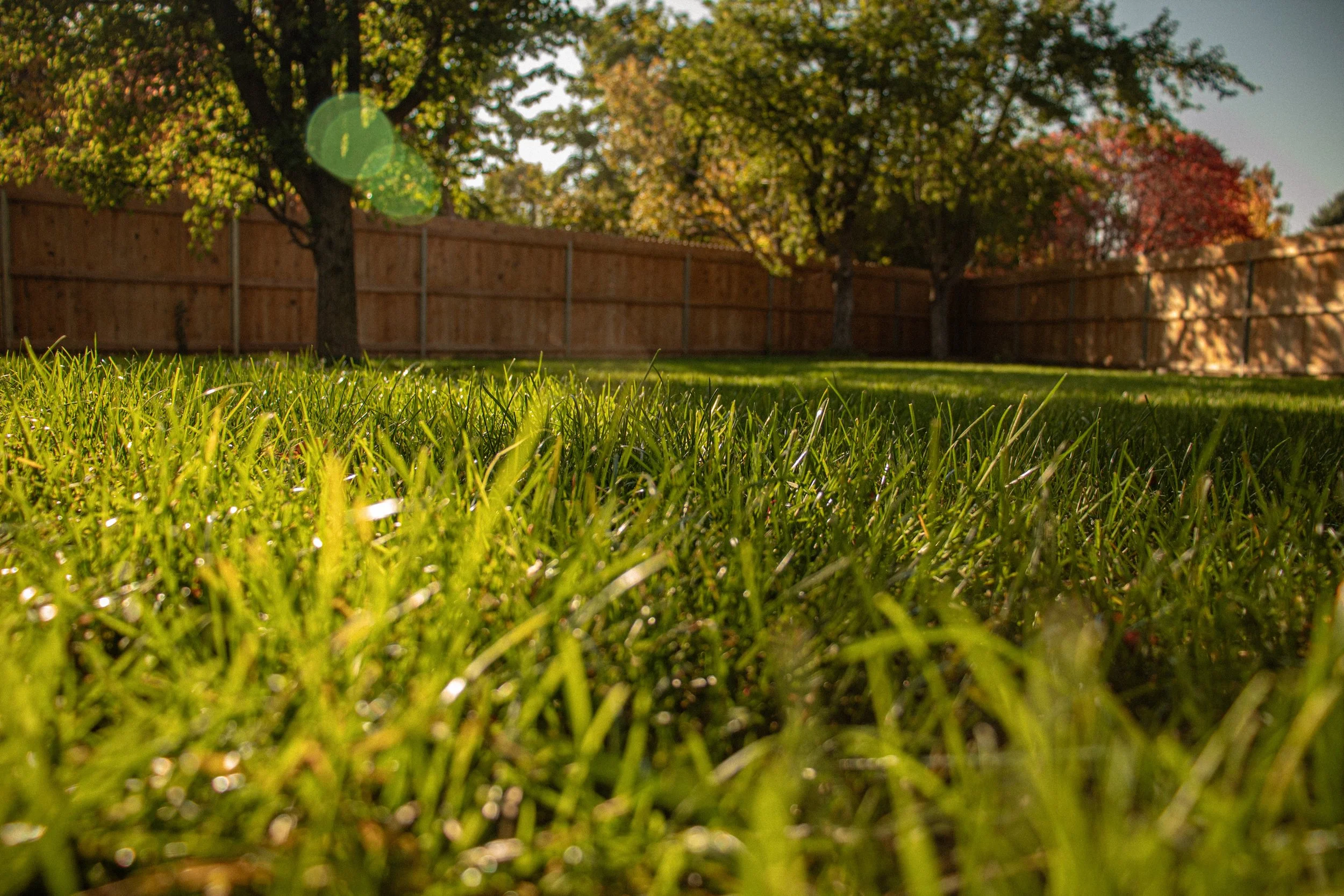 Beautiful maintained lawn